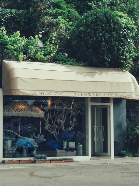 The exterior of MY CONCEPT Flowers & Events storefront features large glass windows displaying vibrant floral arrangements, including blue, purple, and white flowers, arranged in vases and bouquets. A