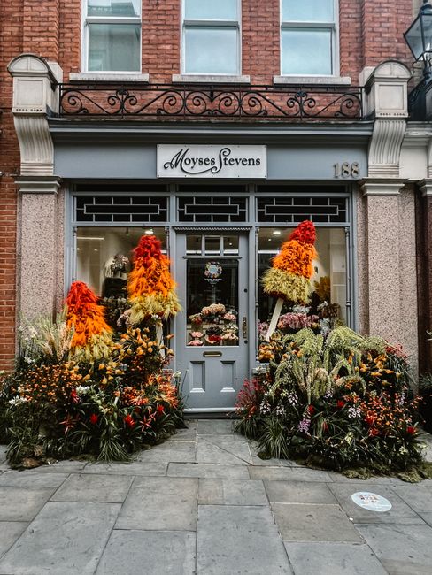 A floral display outside Mayers Stevens, a flower shop, featuring vibrant arrangements of flowers in shades of orange, yellow, purple, and pink, arranged in large cone-shaped formations and lush garde