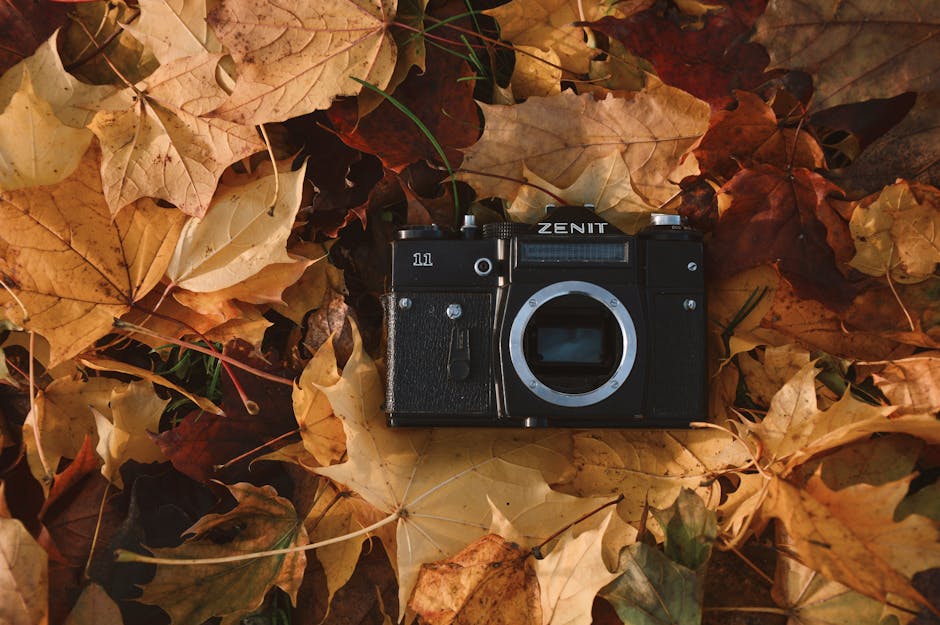 A vintage black Zenit camera with a silver lens mount is positioned among a bed of dried autumn leaves in shades of yellow, orange, and brown. The camera's body has a textured black finish with silver
