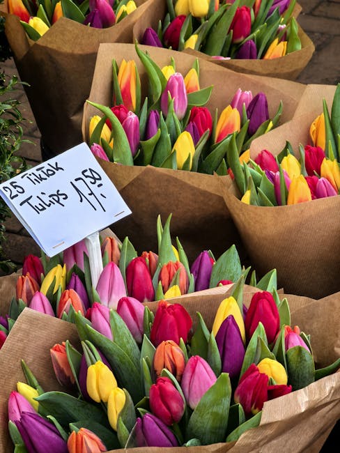 A collection of fresh tulip bouquets wrapped in brown paper, featuring vibrant pink, yellow, orange, and purple blooms with green leaves. The tulips are arranged in bundles, placed on a surface with s