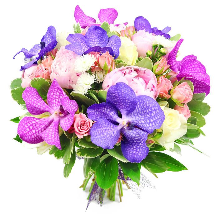 A rich, hand-crafted bouquet is captured from slightly above against a pure white background, the neutral setting highlighting every nuance of colour and texture. Dominating the arrangement are striking Vanda orchids, some in intense indigo purple, others in brilliant fuchsia, their wide petals patterned with delicate speckles and veins that resemble fine textile work from a Mayfair boutique. Nestled alongside them, lush pink peonies are in full, generous bloom, their densely layered petals forming soft, pillowy spheres that speak of classic romance. Threaded throughout the composition are clusters of small roses: light pink spray roses, peach-tinged rosebuds, and a few creamy white blooms that offer a gentle, luminous contrast. These smaller flowers appear at different stages of life, from tightly furled buds to more open rosettes, bringing a sense of natural progression to the design. Tiny white filler blossoms, similar to mini chrysanthemums or asters, fill in the spaces, giving a delicate, starry texture and enhancing the bouquet's sense of fullness. The entire display is wrapped in a cushion of fresh greenery, including broad, glossy leaves and finer variegated foliage that build depth and a lush, garden-like base. At the bottom, the visible stems are carefully gathered and secured with a subtle purple ribbon, indicating that the bouquet is ready to be carried along elegant Mayfair streets or presented at a townhouse doorway near Grosvenor Square or Shepherd Market. The harmonious palette of purples, pinks, peaches, whites, and deep greens creates an atmosphere of joy and understated luxury, making this arrangement ideal for weddings, anniversaries, or milestone celebrations in central London.