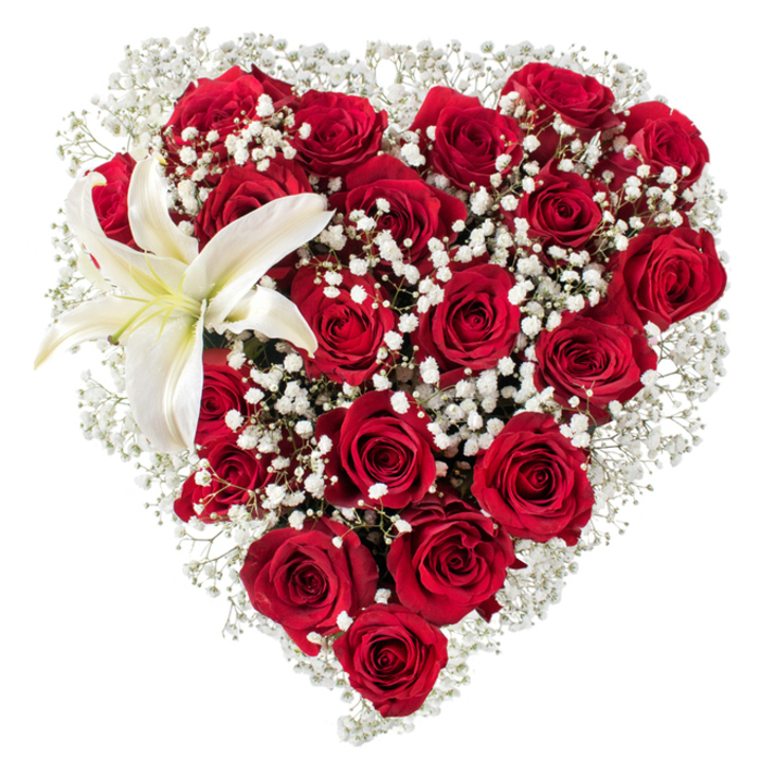 This heart-shaped floral arrangement is a study in contrasting textures and classical romance: a dense body of deep crimson roses forms the core, each bloom exhibiting velvety petals that curl and layer with visible depth, from compact buds to fully opened flowers. Interwoven throughout the red mass and tracing the heart's perimeter are clusters of white baby's breath (Gypsophila), their tiny blooms creating a soft, cloud-like veil that brightens and refines the silhouette. The upper-left section is punctuated by a solitary white lily whose broad, pristine petals radiate outward, the faint cream at the base of each petal and the prominent yellow-orange stamens providing a calm, warm accent against the cooler red tones. The arrangement is photographed on a pure white background, isolating the bouquet so every nuance of colour, shadow, and form is legible-the dense, tactile quality of the roses, the feathery openness of the gypsophila, and the lily's smooth, waxy surface. The composition carries a quiet sophistication, crafted with measured attention to balance and proportion; it reads as both a passionate and refined statement, apt for anniversaries, tributes, or a statement of deep affection. Imagine this piece arriving in Mayfair, carefully wrapped for delivery to an address on Mount Street or left as a heartfelt gesture outside a gallery opening near Bond Street-its scent and presence offering an immediate emotional clarity in a refined urban setting.